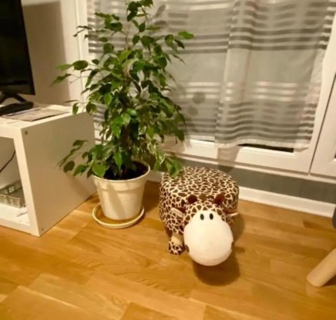 Homestay Schoenes Erwachen Im Frankfurter Penthouse Frankfurt am Main